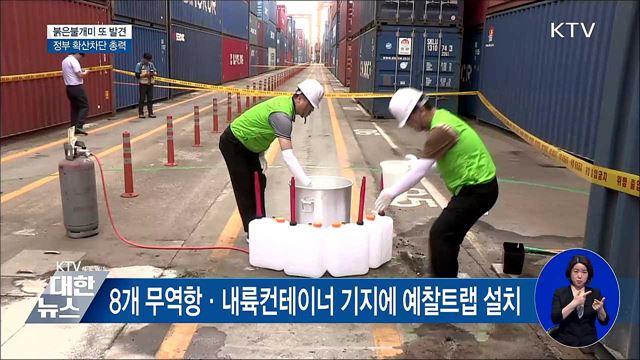 붉은불개미 또 발견···정부 확산차단 총력