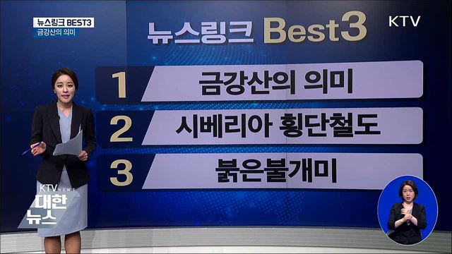 붉은불개미 [뉴스링크]