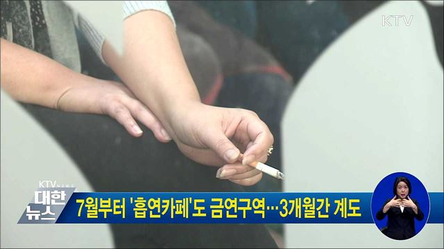 7월부터 '흡연카페'도 금연구역···3개월간 계도
