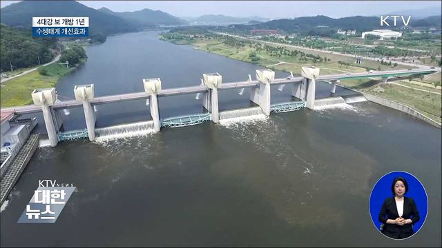  4대강 보 개방 1년···조류농도 40% 감소·생태계 개선 