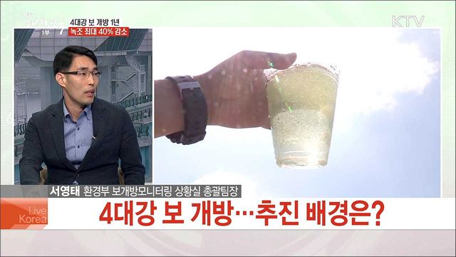 4대강 보 개방 1년, 녹초 최대 40% 감소