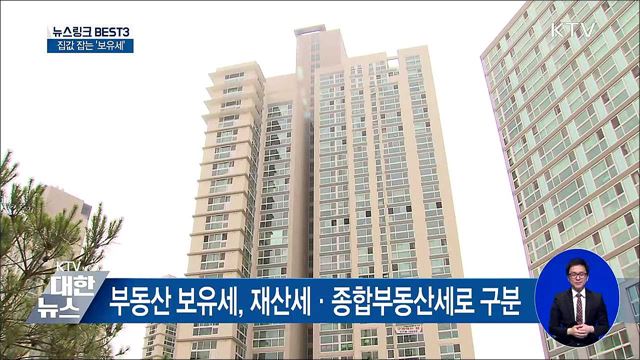 보유세 [뉴스링크]