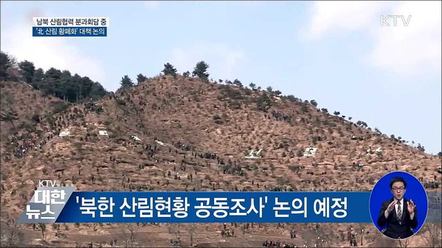 KTV 대한뉴스 (13회)