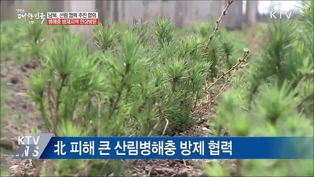 생방송 대한민국 1부 (189회)