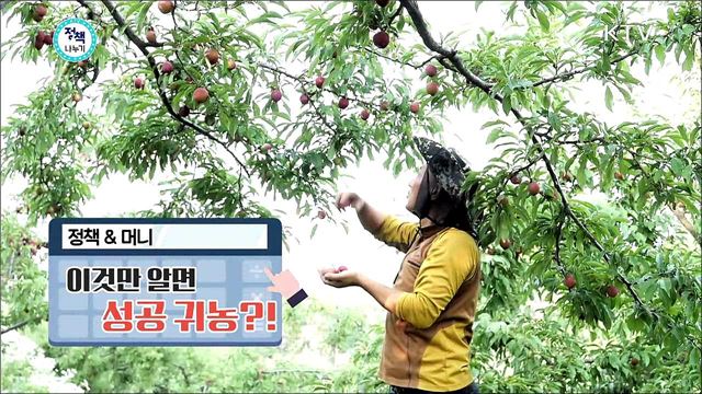 <정책&머니> 이것만 알면 성공 귀농?! <정책&해피> 재미도 찾고 꿈도 찾는 진로체험의 매력!