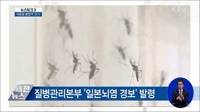 일본뇌염 경보 [뉴스링크]