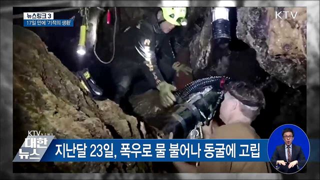 13명의 멧돼지 [뉴스링크]