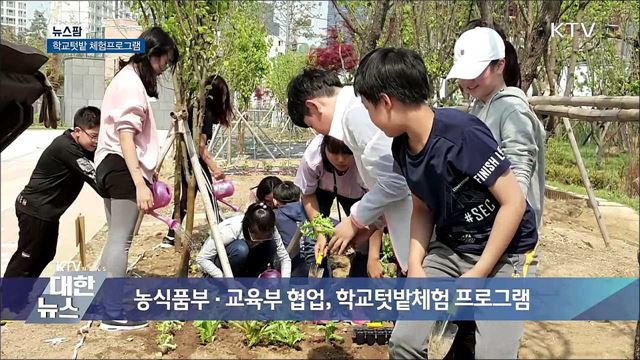 학교텃밭 체험프로그램 [뉴스팜]