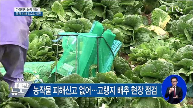 폭염에 가축 79만 마리 폐사···농가 '비상'