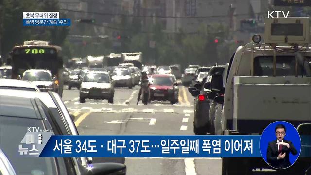 KTV 대한뉴스 (22회)