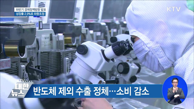 김동연 부총리 "성장률 2.9%로 하향 조정"