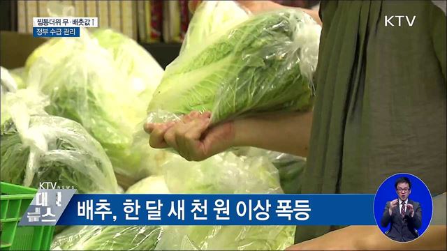 찜통더위 무·배춧값↑···정부 수급 관리