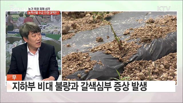 농가 폭염 피해 심각, 농축산물 수급 안정 대책은?