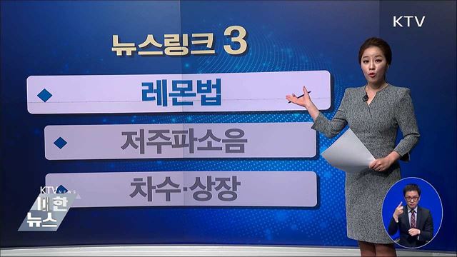 레몬법 [뉴스링크]