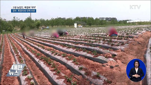'역대 최악' 폭염···고령 농민 온열질환 '비상'