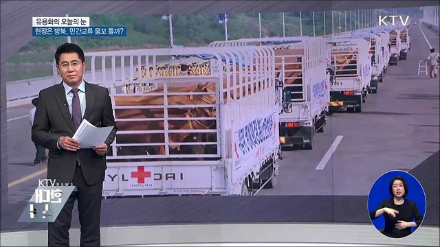 유용화의 오늘의 눈 (18. 08. 03. 19시)