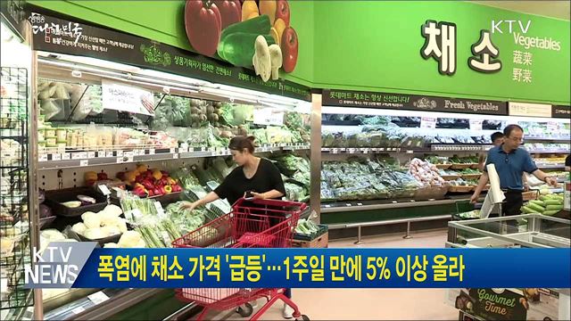 폭염에 채소 가격 '급등'···1주일 만에 5% 이상 올라