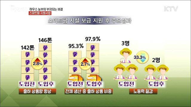 정부 지원으로 하우스 농부 부자 되는 비결 [돈이 보이는 정책]