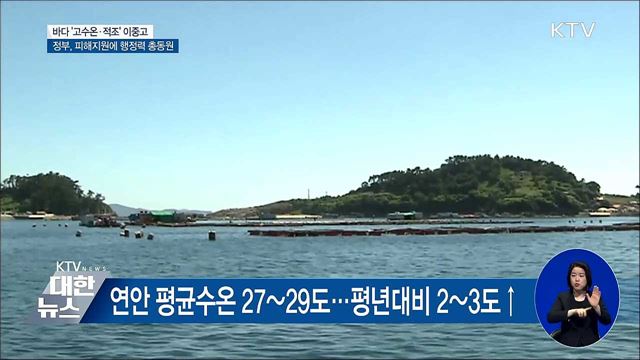 '바다' 고수온·적조 비상···정부 대응 총력