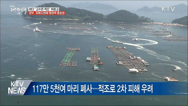 '바다' 고수온·적조 비상···정부 대응 총력