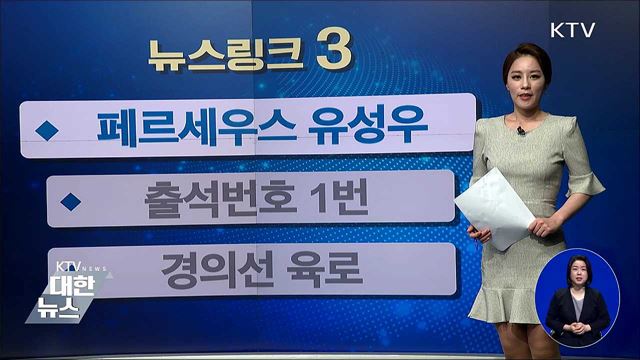 페르세우스 유성우 [뉴스링크]