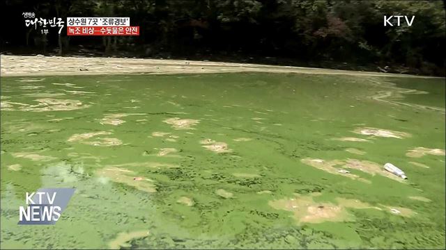 '녹조비상' 상수원 7곳 조류경보···수질관리 '총력'