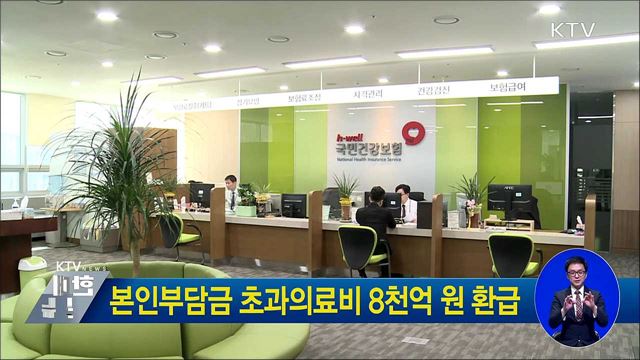 본인부담금 초과의료비 8천억 원 환급
