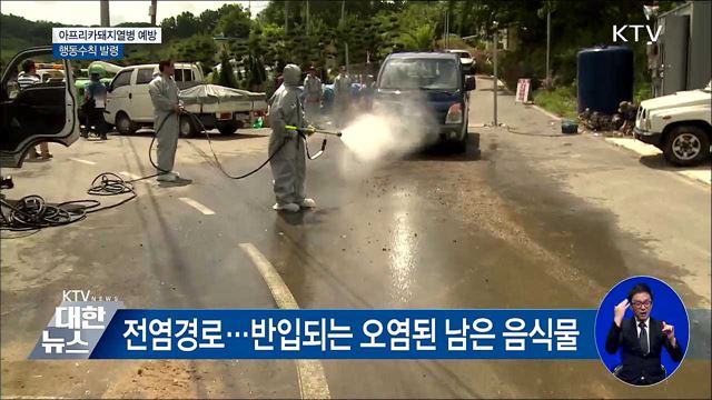 치사율 100% '아프리카돼지열병'···예방 행동수칙 발령