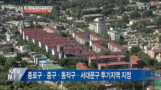 서울 종로 등 투기지역 지정···수도권에 공공택지 개발