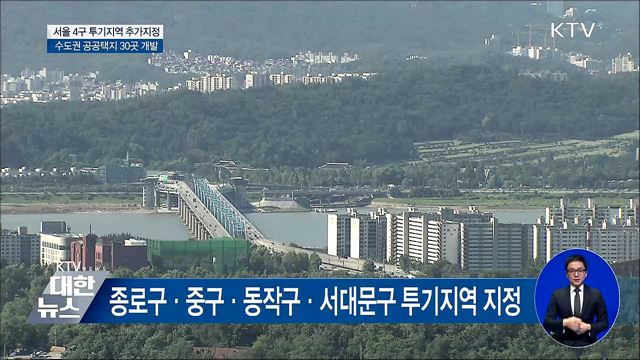 서울 종로 등 투기지역 지정···수도권에 공공택지 개발