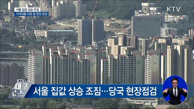 집값 상승조짐···"전세·임대사업자 대출 집중점검"