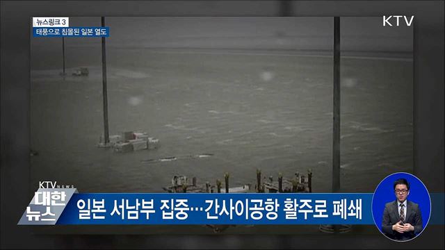 제비 [뉴스링크]