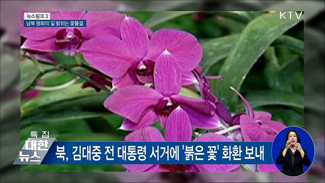 붉은 꽃 [뉴스링크]