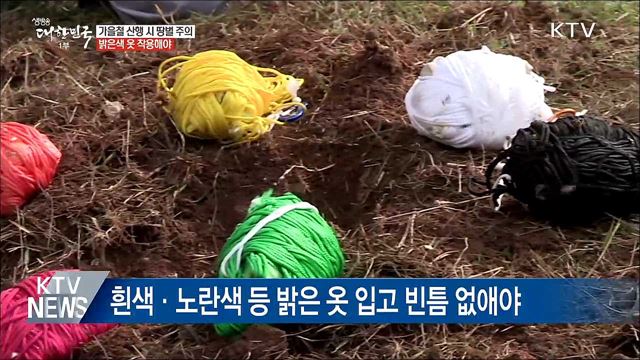 가을철 '땅벌' 주의···밝은 옷 입고 빈틈 없애야