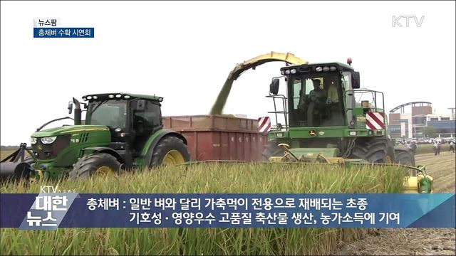 총체벼 수확 시연회 [뉴스팜]