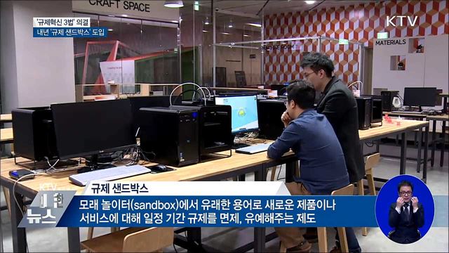 내년부터 '한국형 규제 샌드박스' 도입