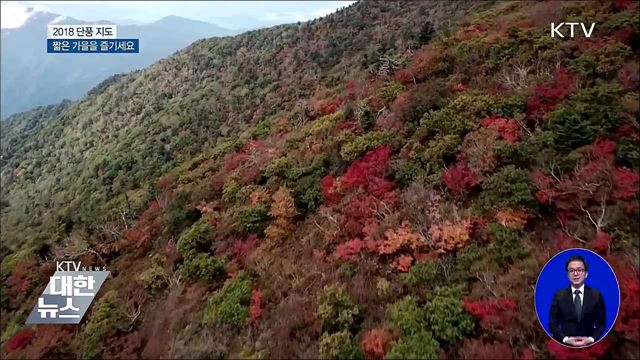 단풍 절정 시기는?···가을축제 준비도 한창