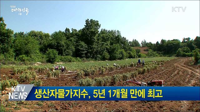 생산자물가지수, 5년 1개월 만에 최고