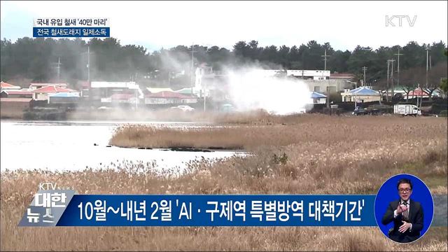 국내 유입 철새 '40만 마리'···AI 특별방역대책 추진