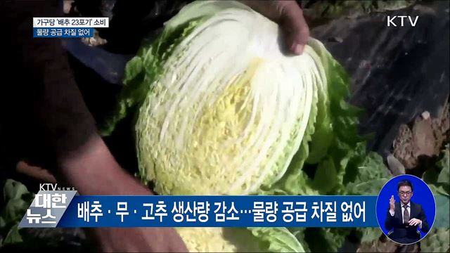 4인 가구 '배추 23포기' 소비···물량 공급 차질 없어
