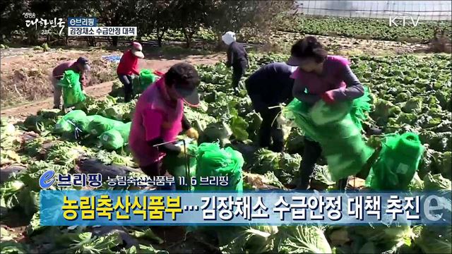 김장채소 수급안정 대책 [e 브리핑]