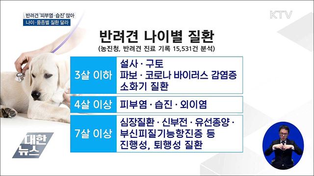 반려견 '피부염·습진'으로 동물병원 많이 찾아