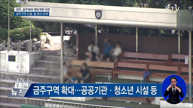 '제2의 윤창호 막는다'···금주구역 신설·술 광고 규제