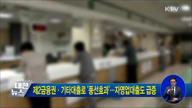 제2금융권·기타대출로 '풍선효과'···자영업대출도 급증