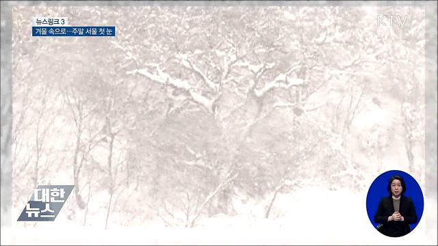 소설(小雪) [뉴스링크]