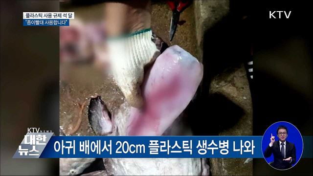 생태계 위협하는 플라스틱···"종이빨대 사용해요"