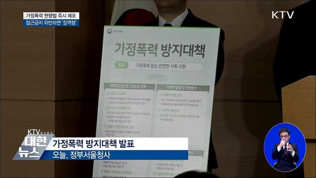 가정폭력 현행범 즉시 체포···접근금지 위반하면 '징역형'