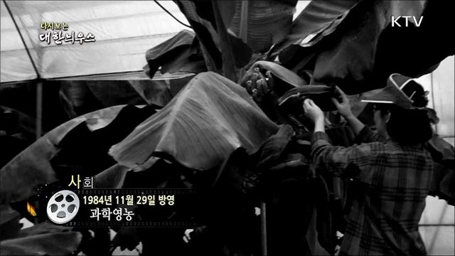다시보는 대한늬우스 (84. 11. 29) 이미지