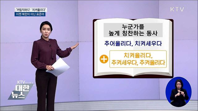 '꺼림직하다'·'치켜올리다', 이젠 북한어 아닌 표준어