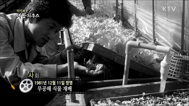 다시보는 대한늬우스 (81. 12. 11) 이미지
